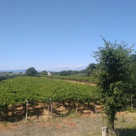 Appartamento Stanza privata in Casale immerso nella natura *
