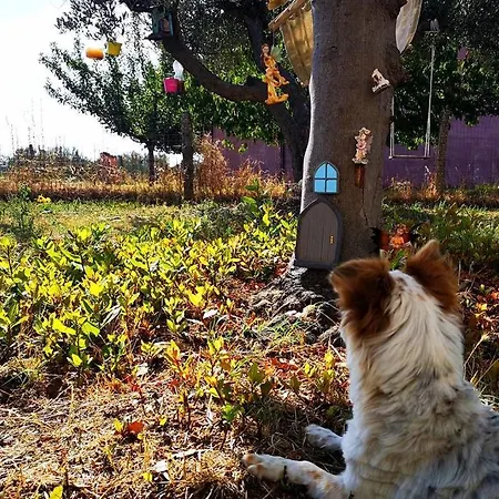 Stanza privata in Casale immerso nella natura Scerni